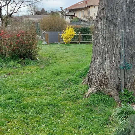 Les Copains D'abord *